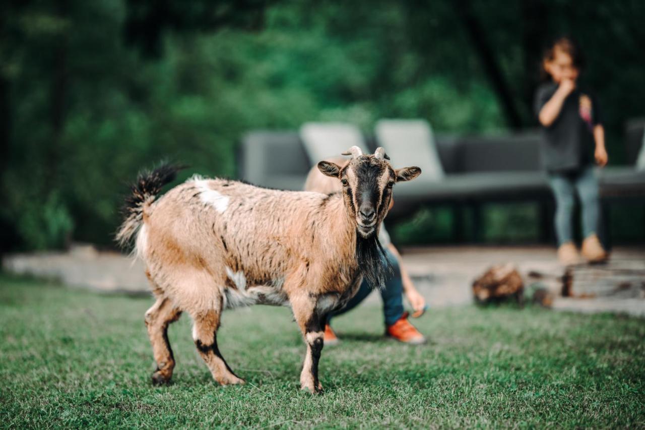 Goat'S Paradise Bohinj ภายนอก รูปภาพ